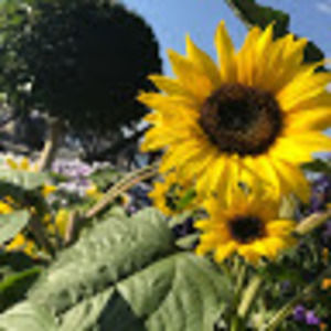 Meet your Posher, Ella